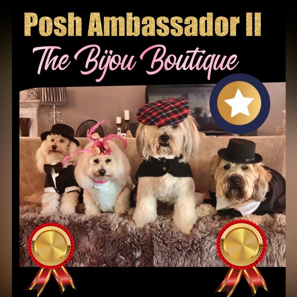 ⭐️Posh Ambassador II ⭐️